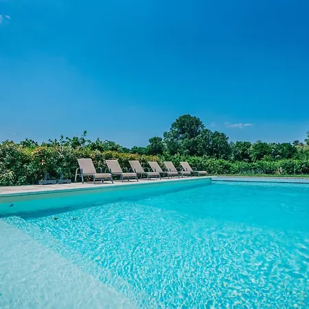 Mazet Au Calme -piscine Privee-grand Jardin Arbore Holiday home