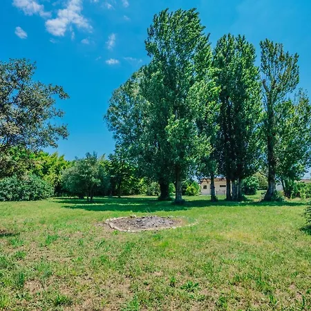 Prázdninový dům Mazet Au Calme -piscine Privee-grand Jardin Arbore *