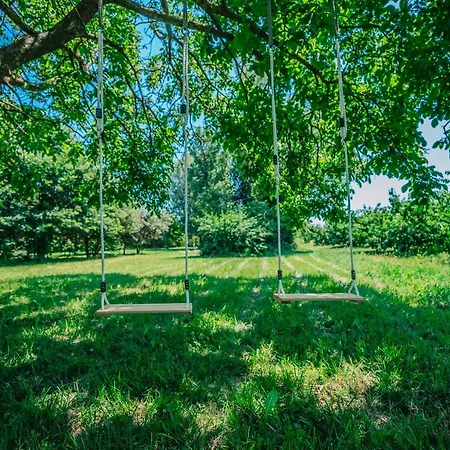Mazet Au Calme -piscine Privee-grand Jardin Arbore