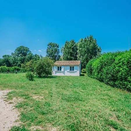Mazet Au Calme -piscine Privee-grand Jardin Arbore Holiday home Saint-Quentin-la-Poterie