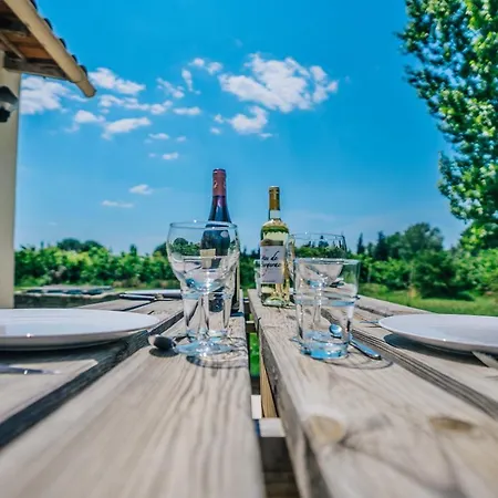 Mazet Au Calme -piscine Privee-grand Jardin Arbore *